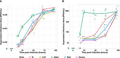 Earlier In Vitro Viral Production With SARS-CoV-2 Alpha Than With Beta, Gamma, B, or A.27 Variants